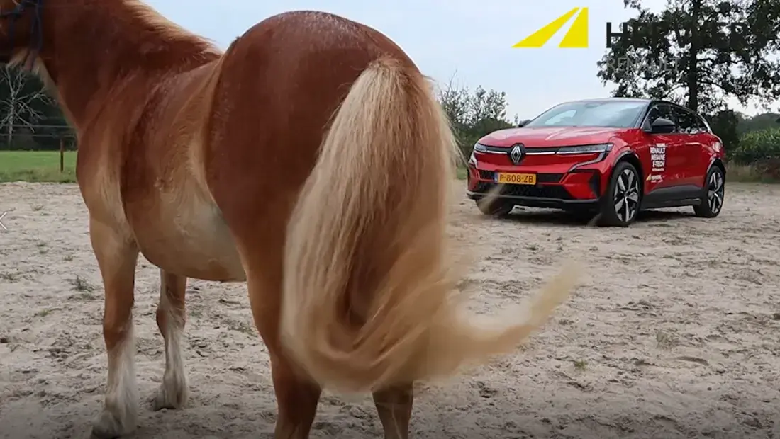 Paardenkracht Megane