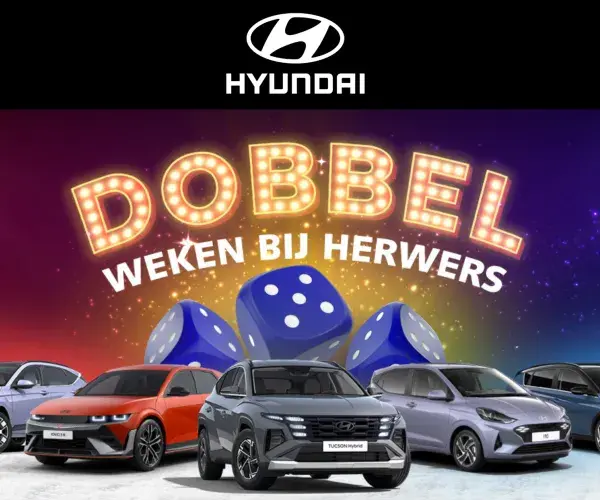 Herwers Hyundai dobbelweken micro